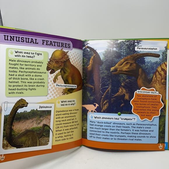 Bundle of 3 Bugs & Dinosaurs Childrens Books - Picture 7 of 11